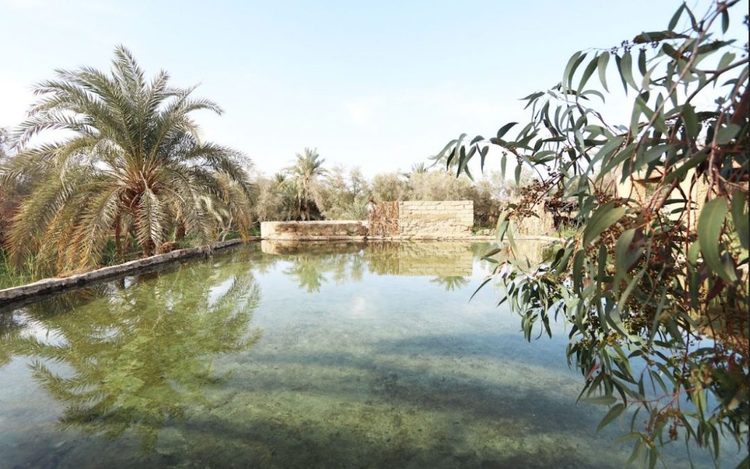 OASIS NORTE DE ÁFRICA